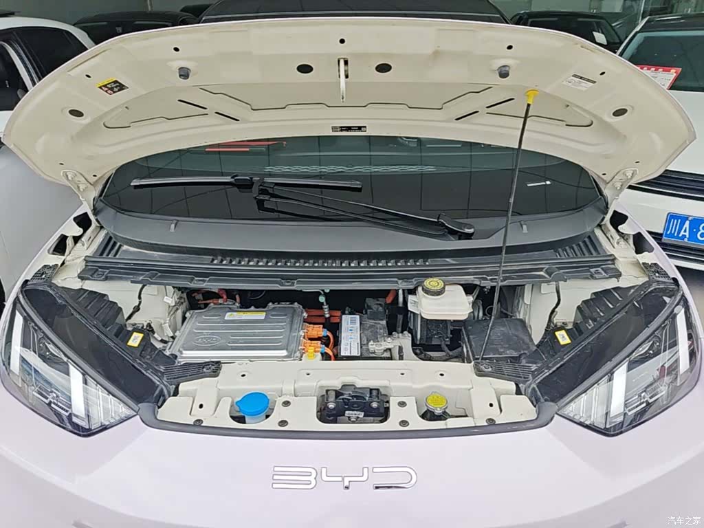 BYD Seagull, 2023 20
