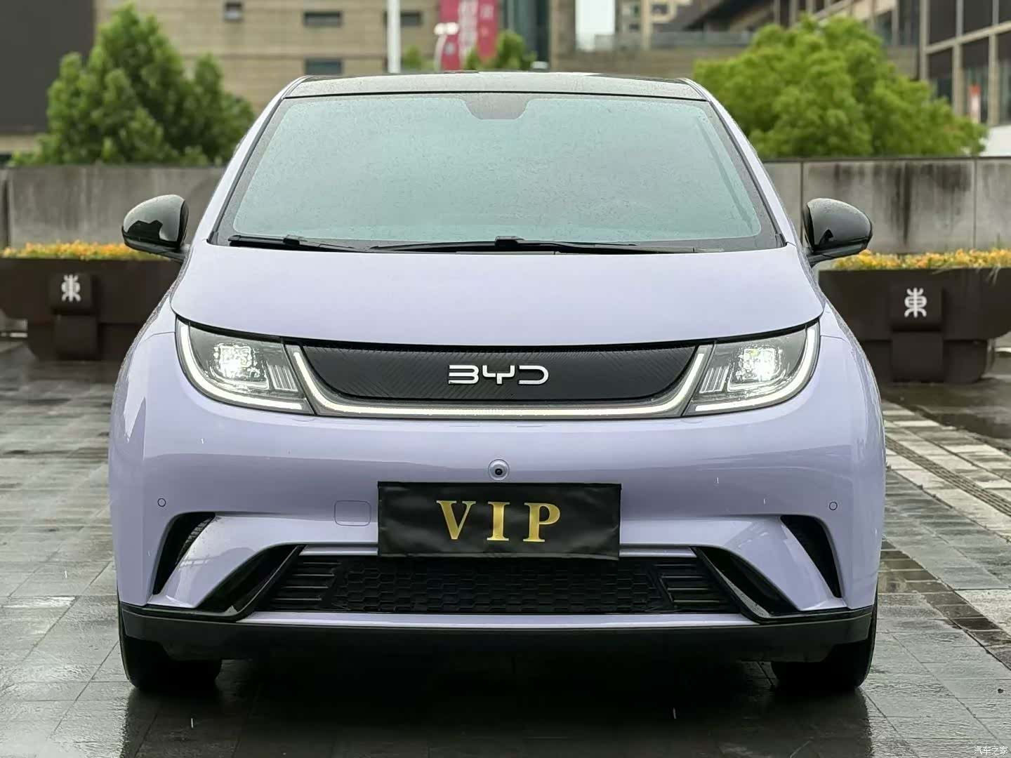 BYD Dolphin, 2024 2