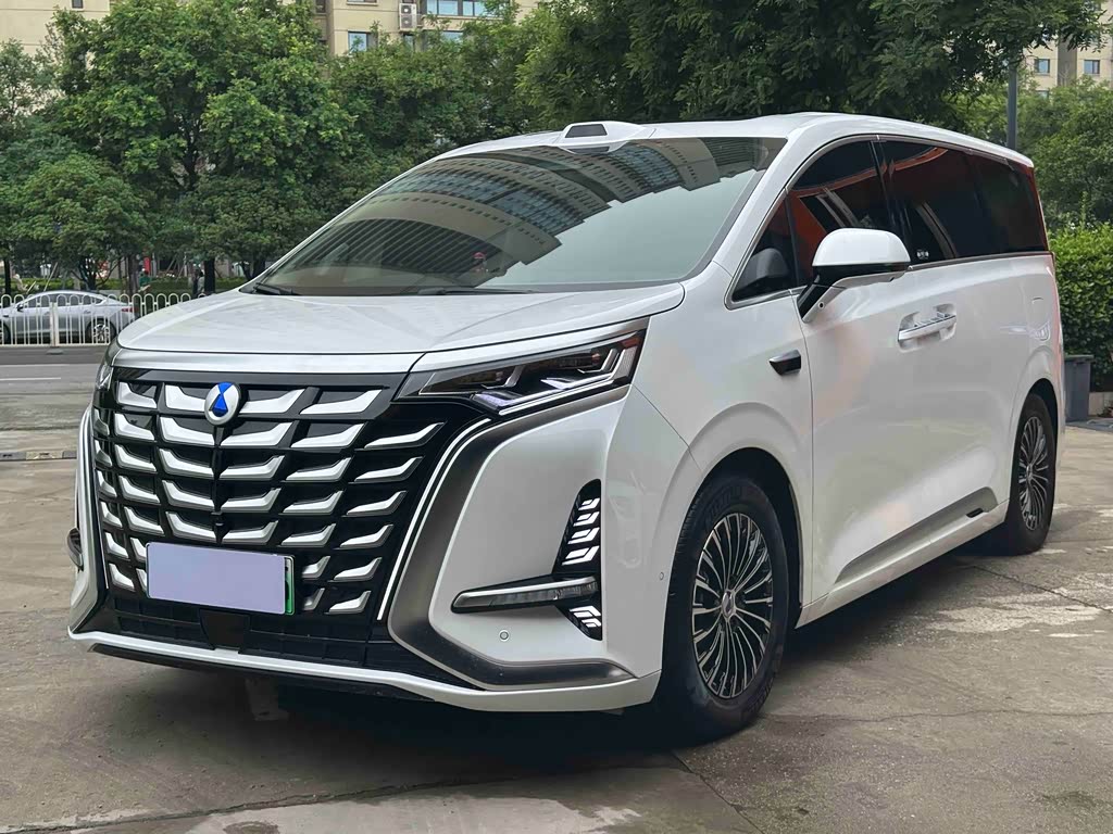 Denza D9