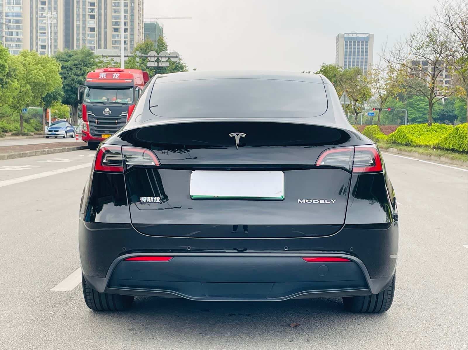 Tesla Model Y, 2022 все фото