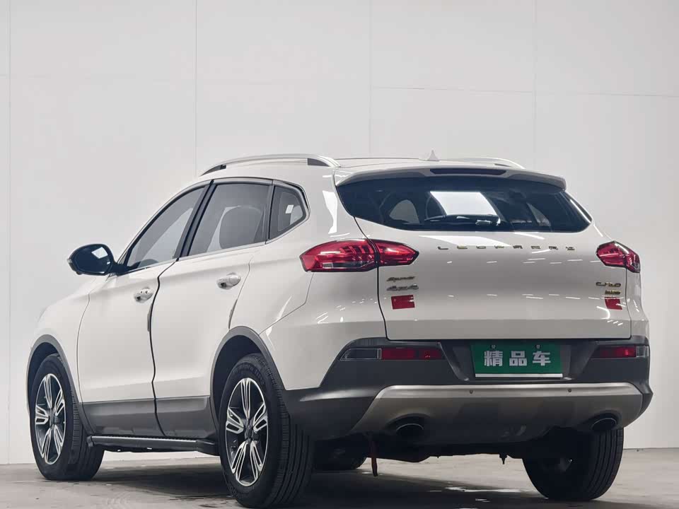 Leopaard Cheetah CS10