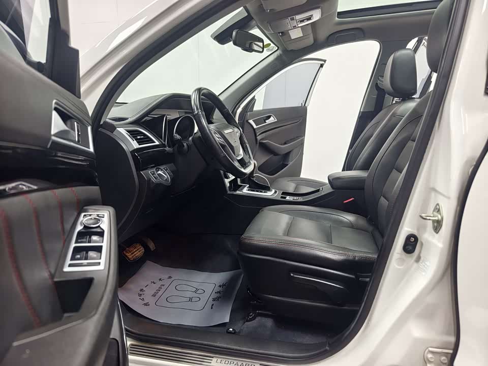 Leopaard Cheetah CS10