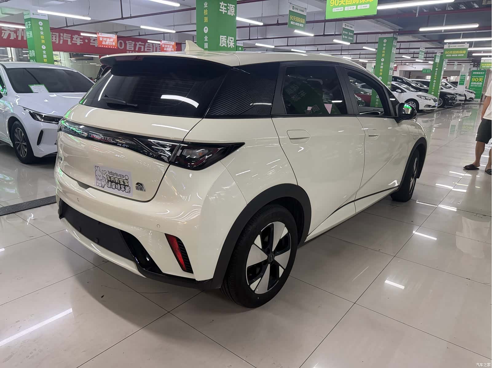 BYD Dolphin, 2023 все фото