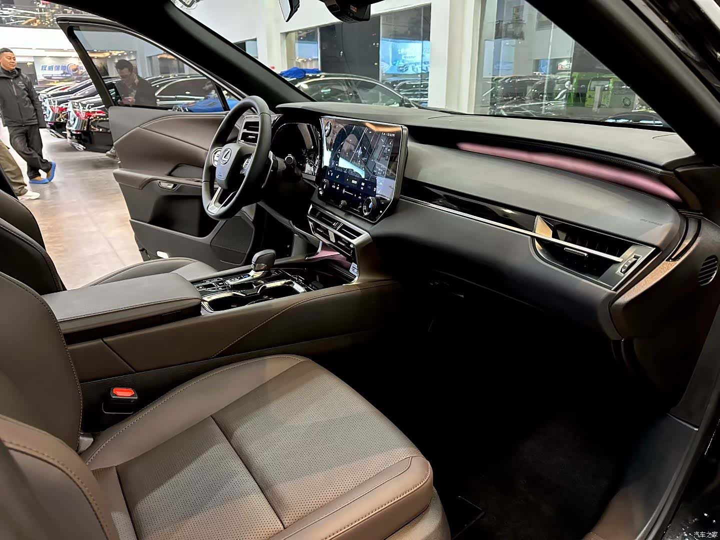 Lexus RX, 2025 9