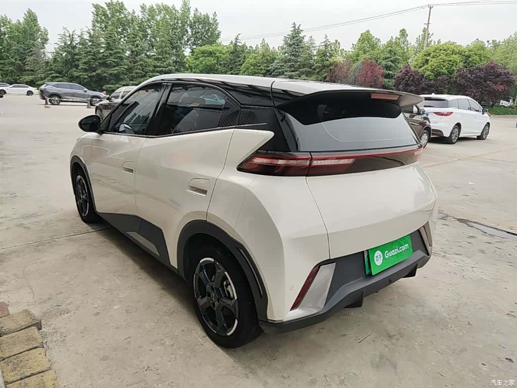 BYD Seagull, 2024 все фото
