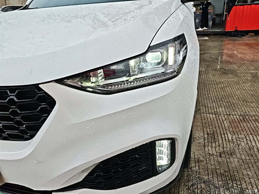 WEY VV6, 2019 24