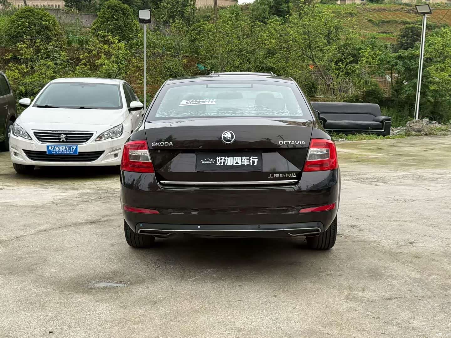 Skoda Octavia, 2017 8