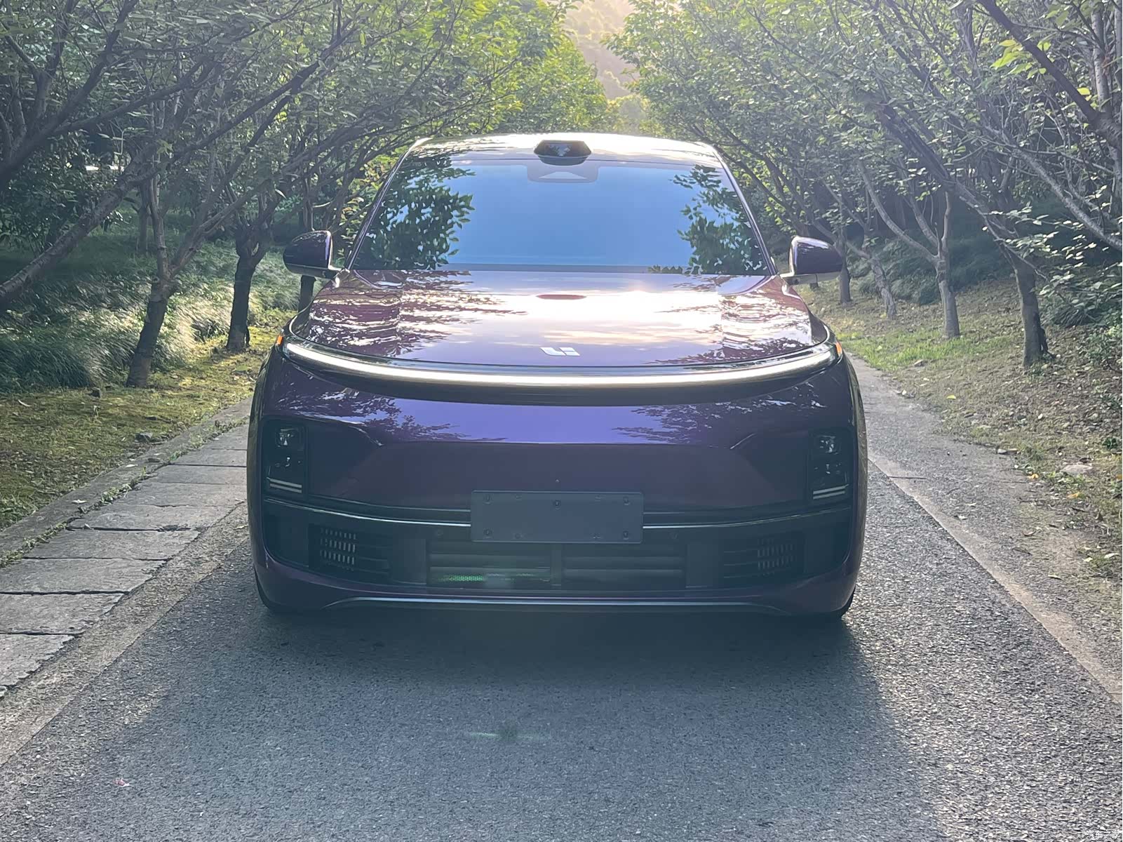 Li Auto L8, 2023 8
