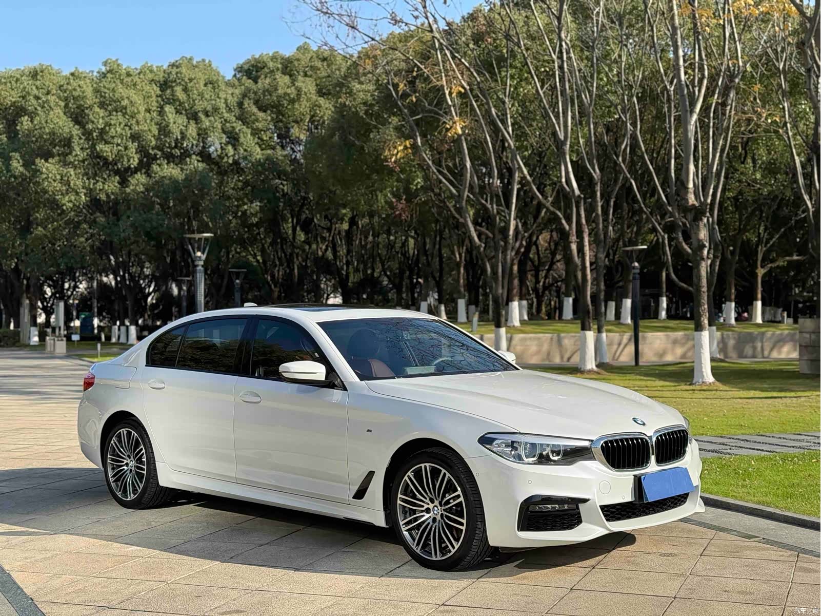 BMW 5 Series, 2019 3