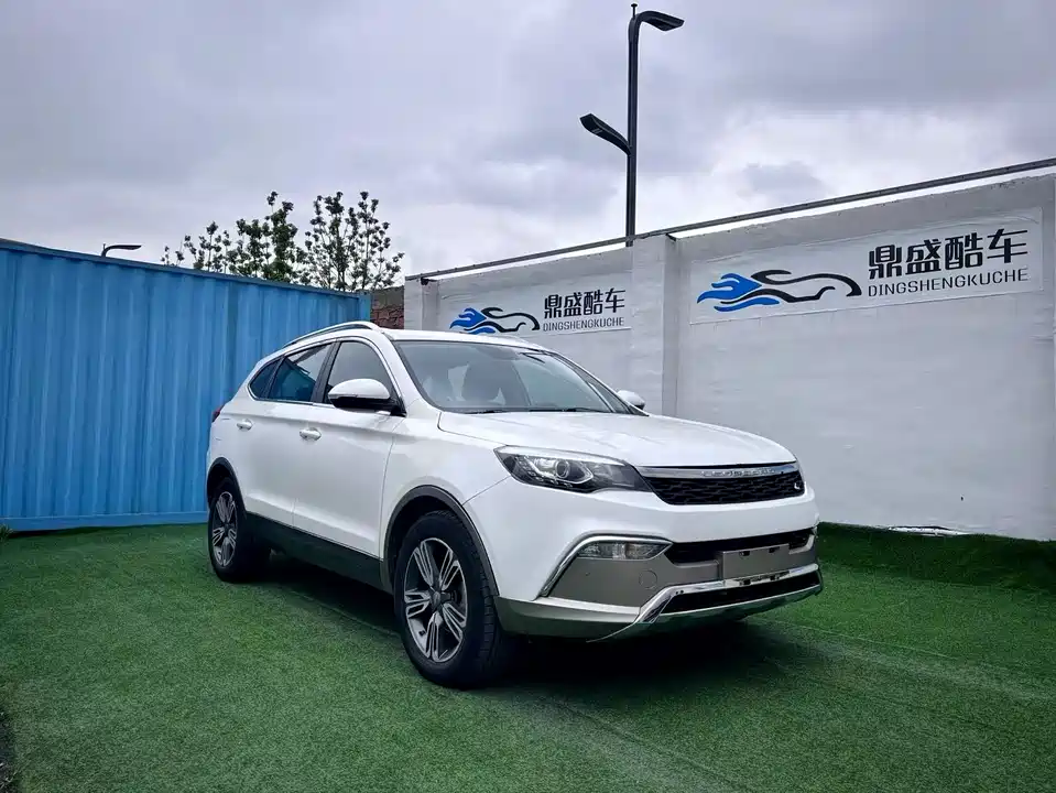 Leopaard Cheetah CS10