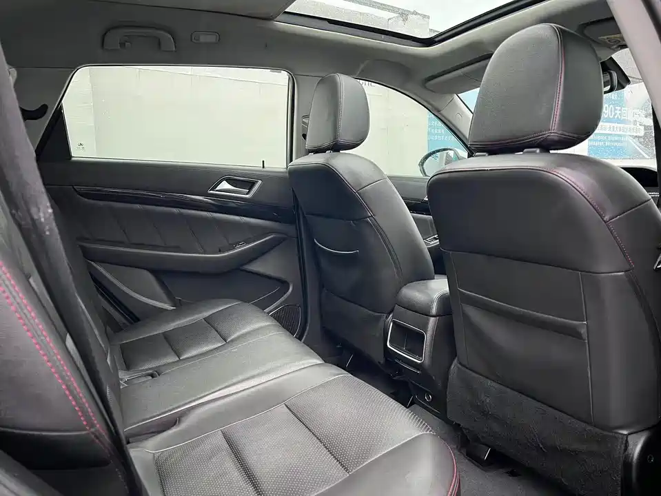 Leopaard Cheetah CS10