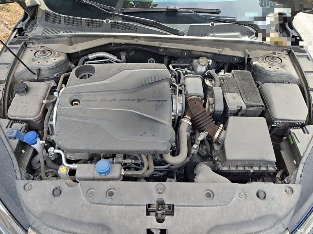Changan Eado, 2024 11