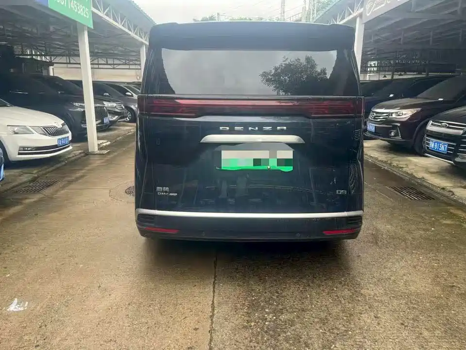 Denza D9