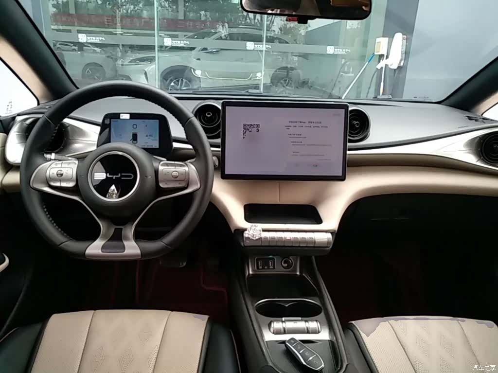 BYD Dolphin, 2024 10