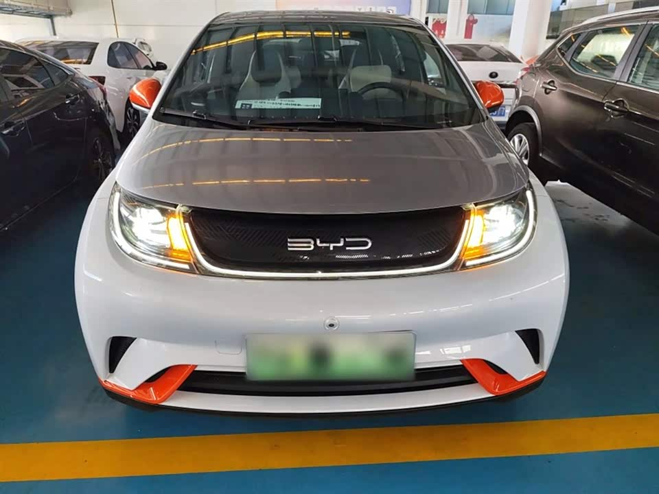 BYD dolphin