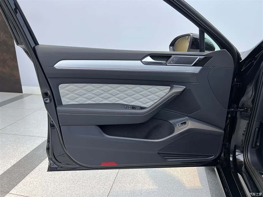 Volkswagen Magotan, 2024 31