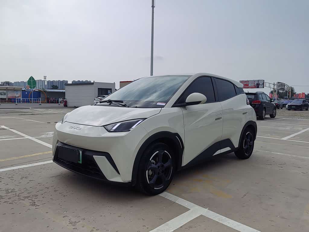 BYD Seagull