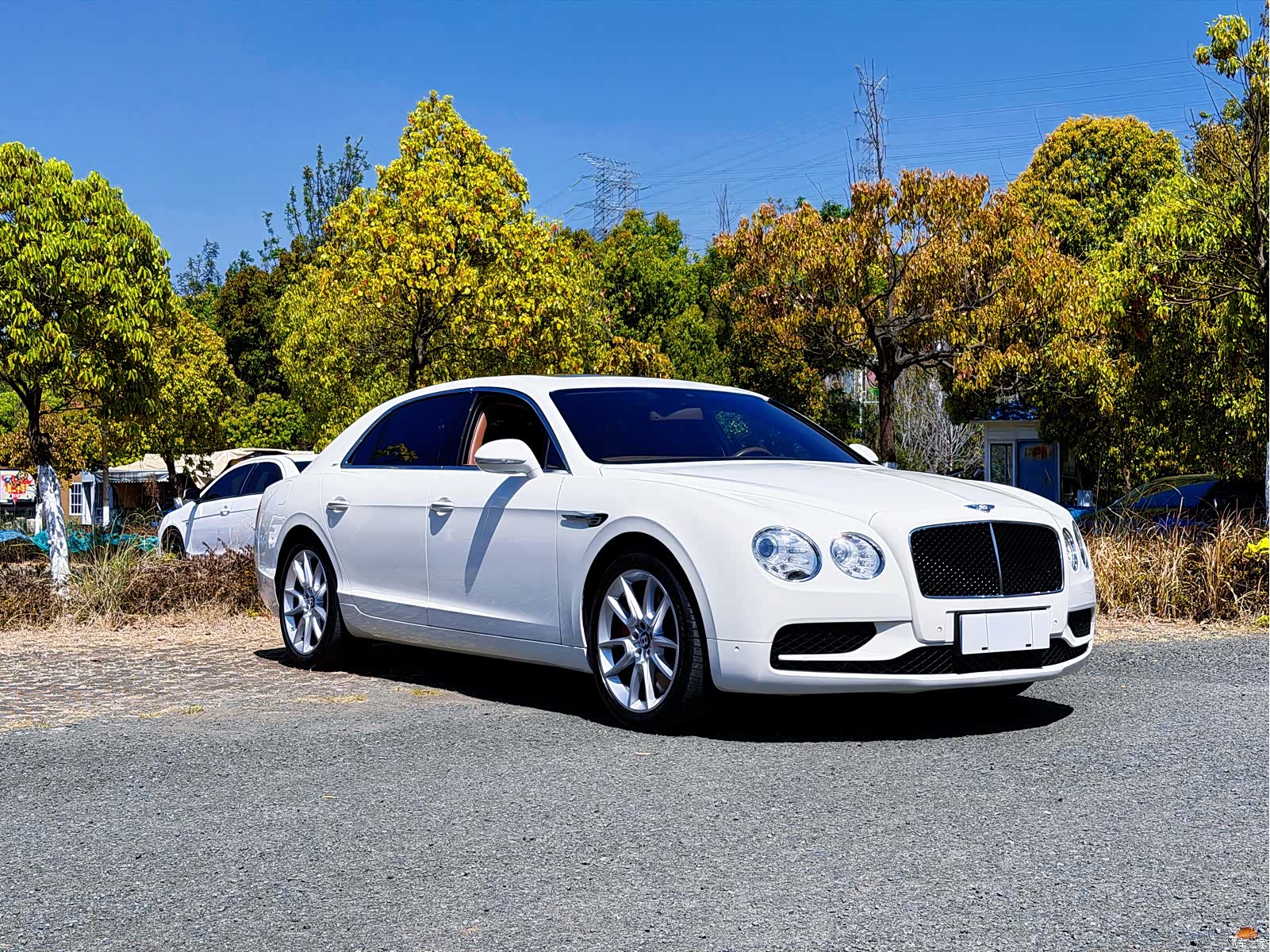 Bentley Flying Spur, 2020 11