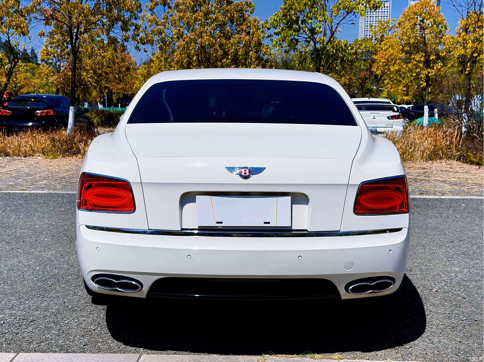 Bentley Flying Spur, 2020 18