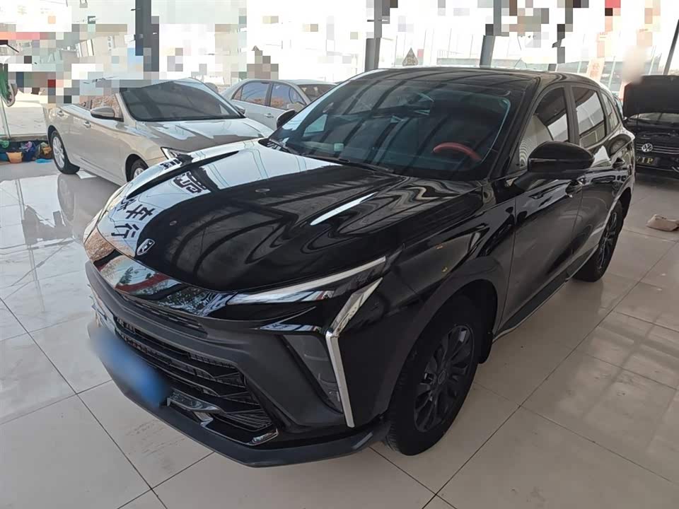 Forthing Popular T5 EVO