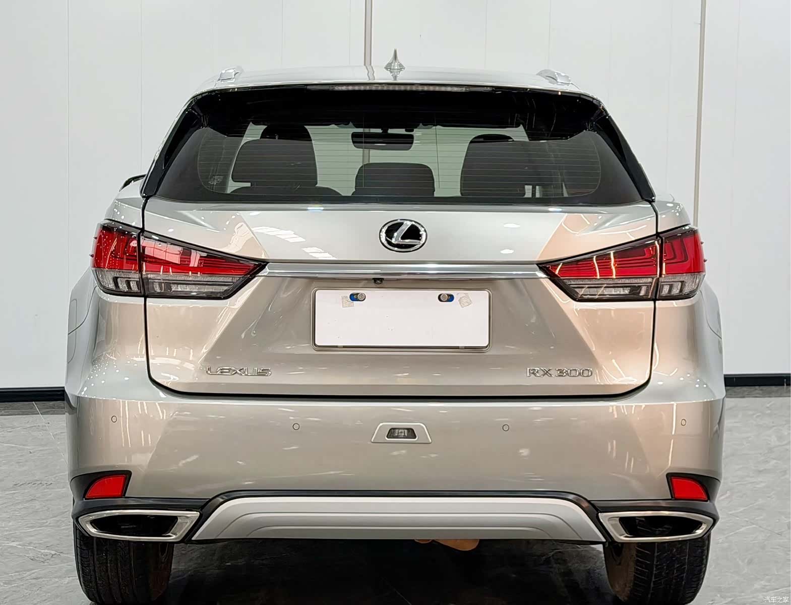 Lexus RX, 2020 11