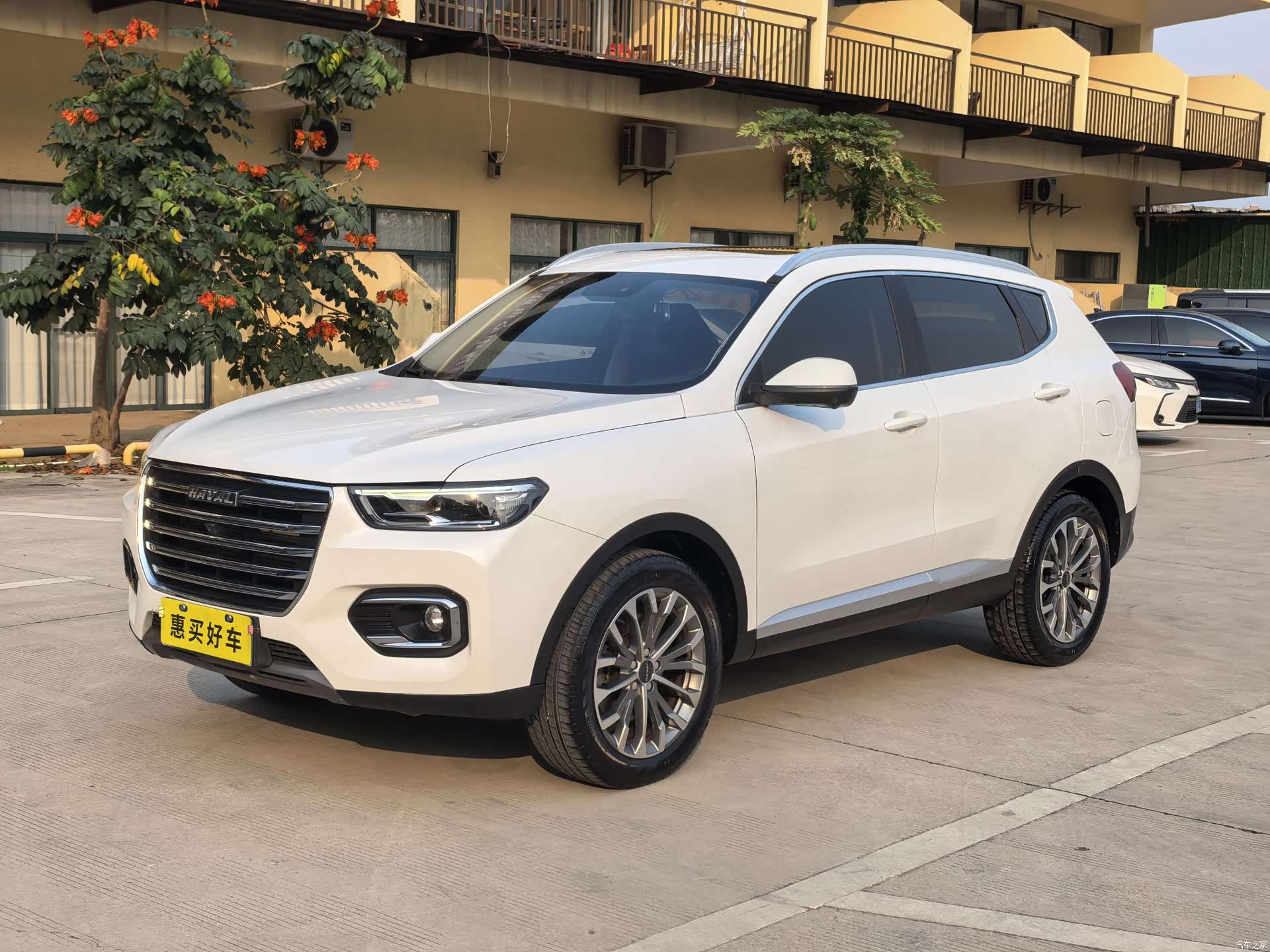 Haval H6, 2020 1