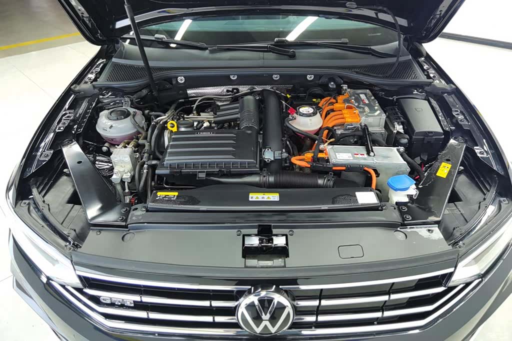 Volkswagen Magotan, 2023 10