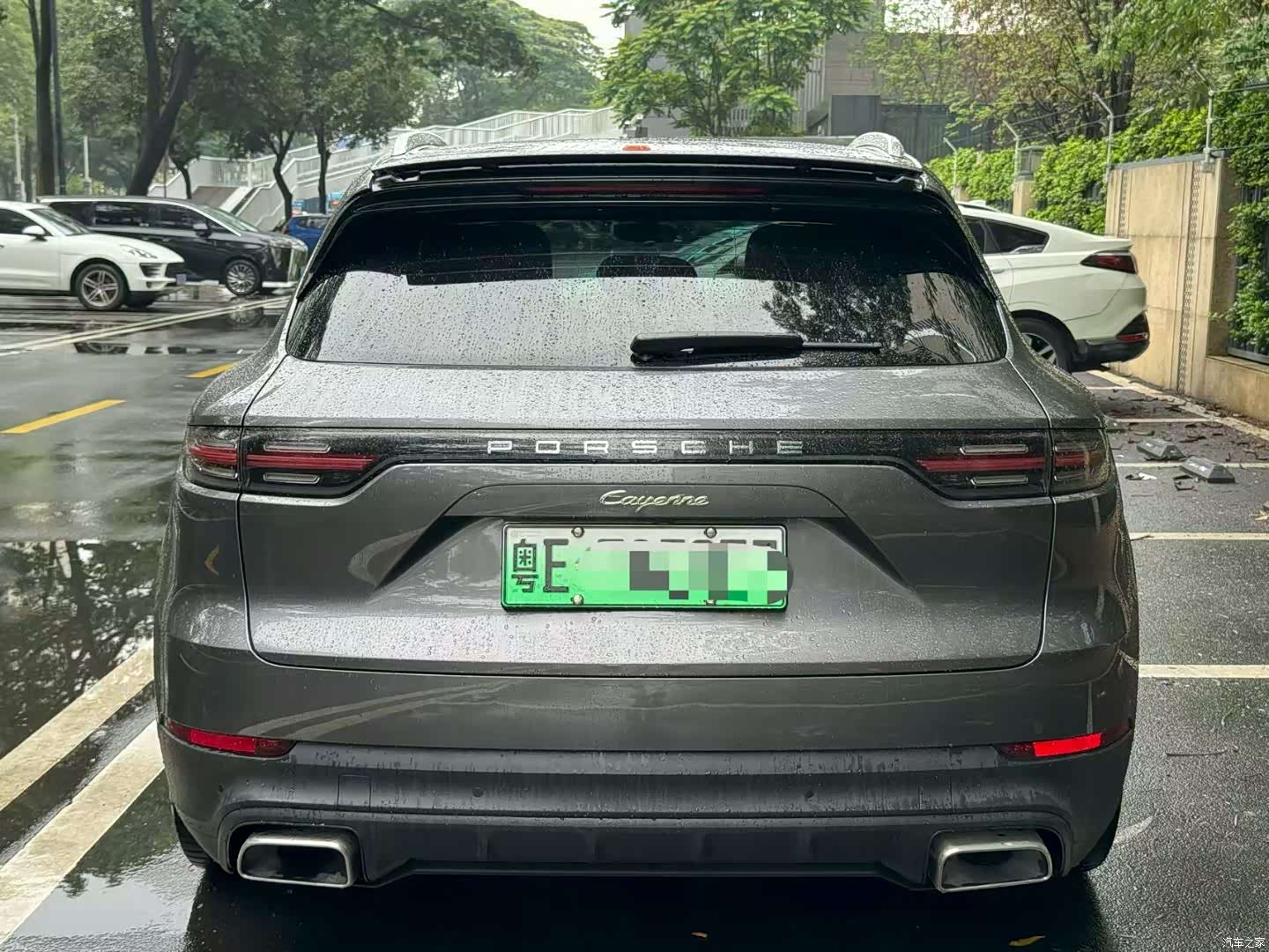 Porsche Cayenne, 2019 все фото