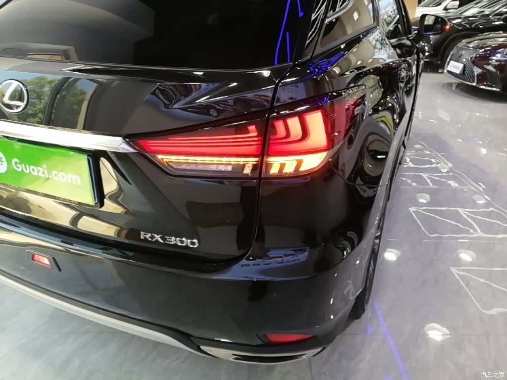 Lexus RX, 2022 8