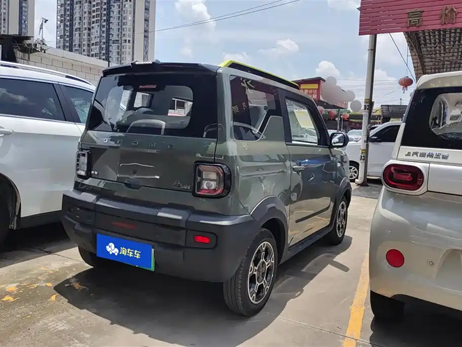 Geely Galaxy panda
