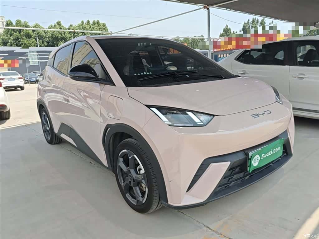 BYD Seagull, 2024 4