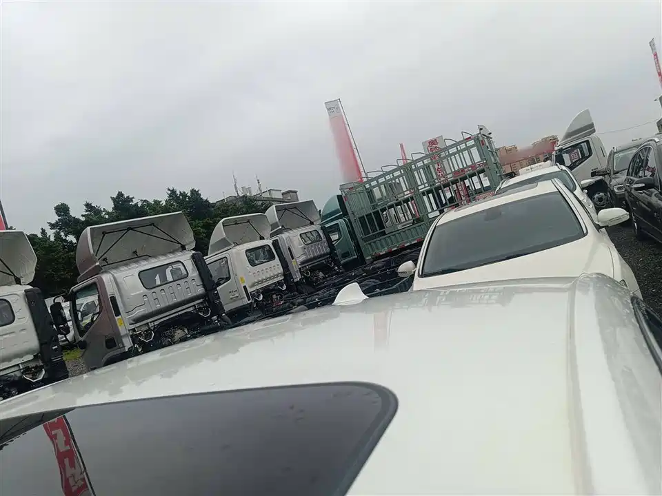 Buick Weilang