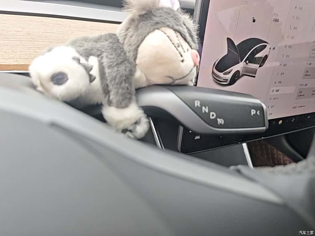 Tesla Model 3, 2021 14
