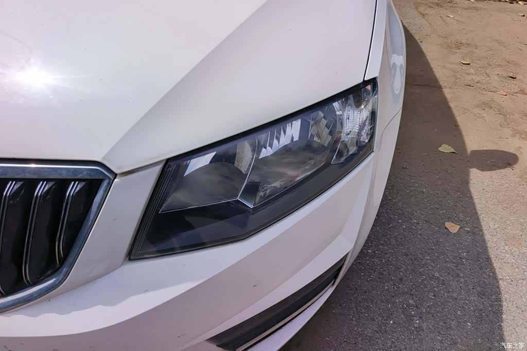 Skoda Octavia, 2019 все фото