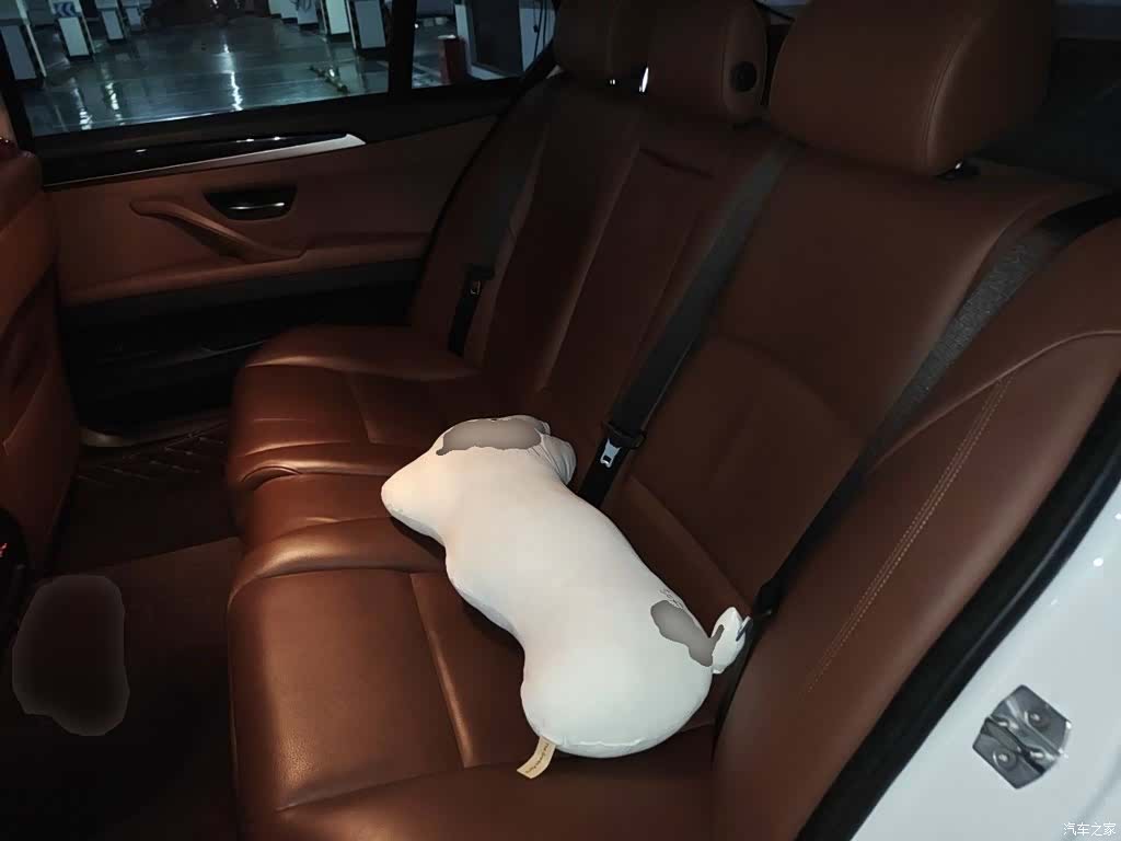 BMW 5 Series, 2016 15