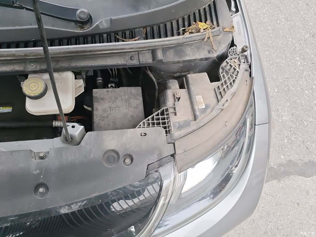 BYD Dolphin, 2023 24