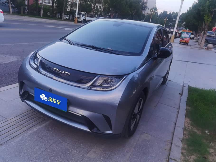 BYD dolphin
