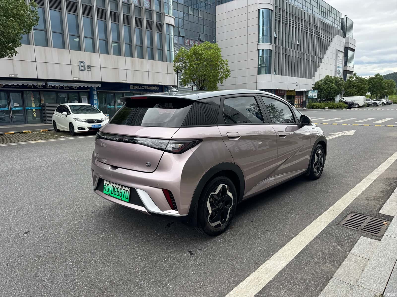 BYD Dolphin, 2022 6