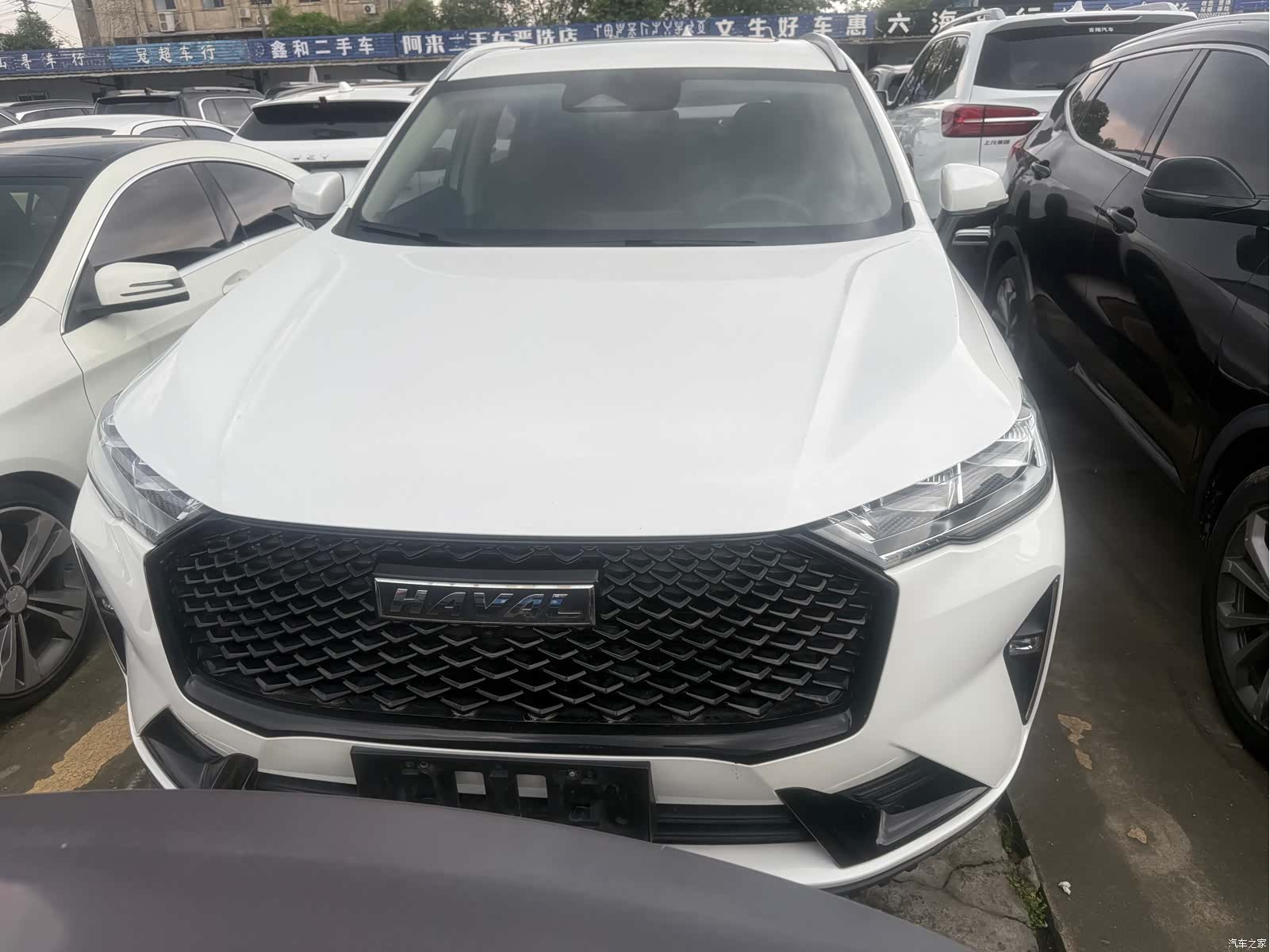 Haval H6, 2020 2