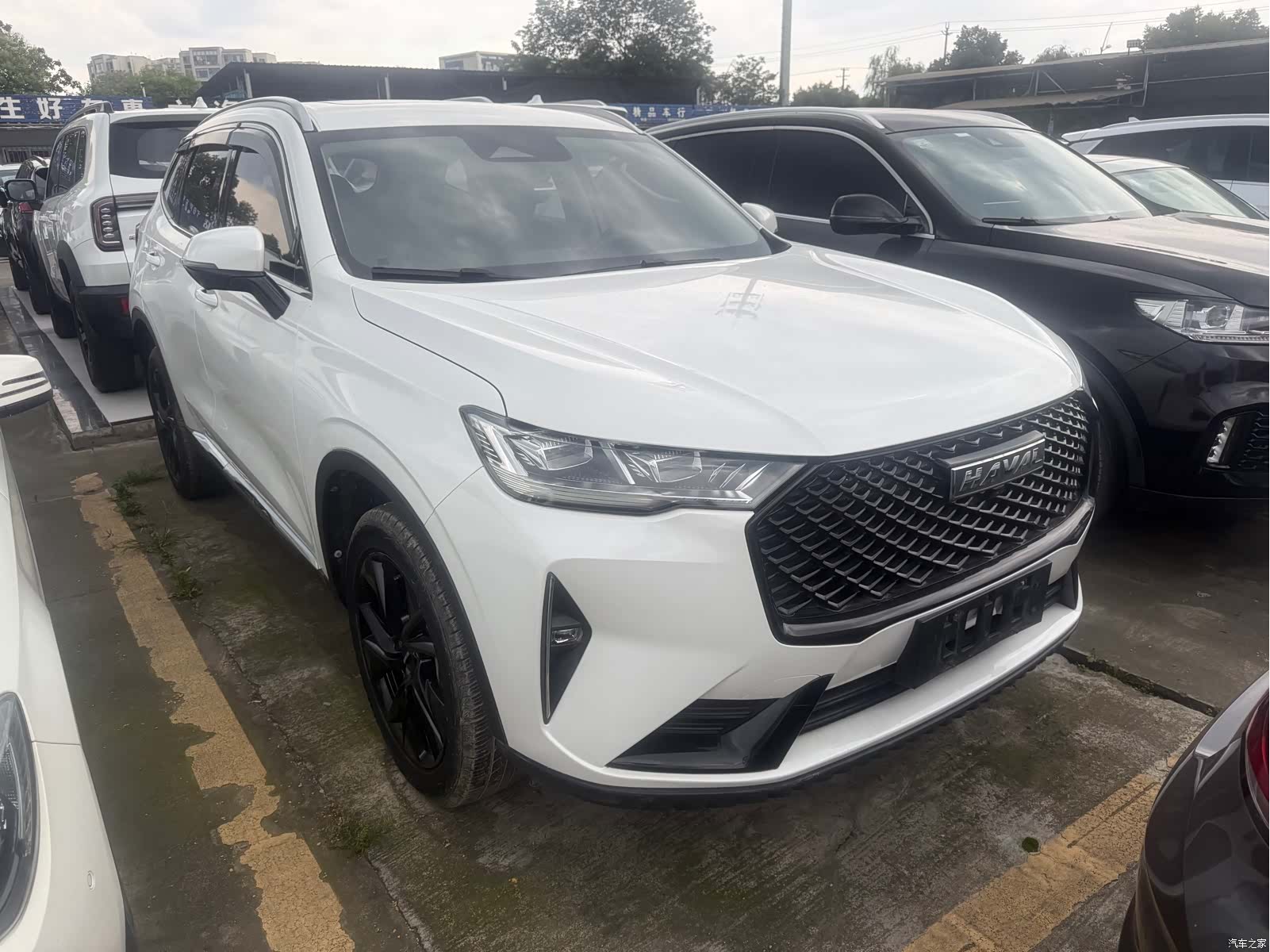 Haval H6, 2020 3