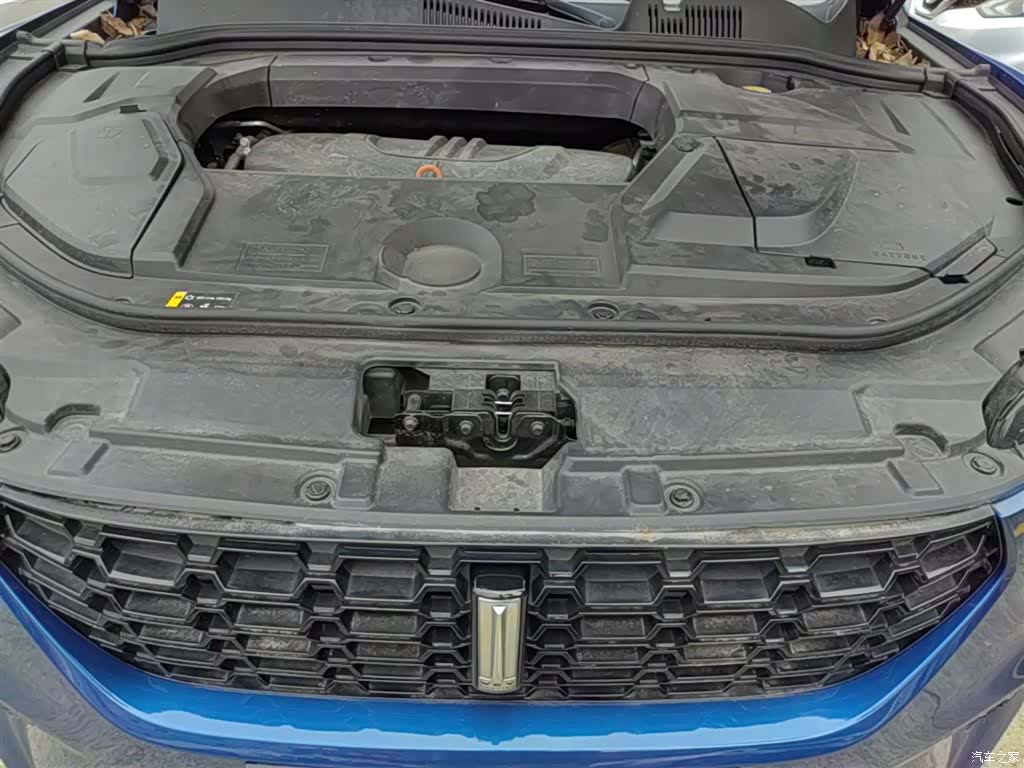 WEY VV5, 2019 20