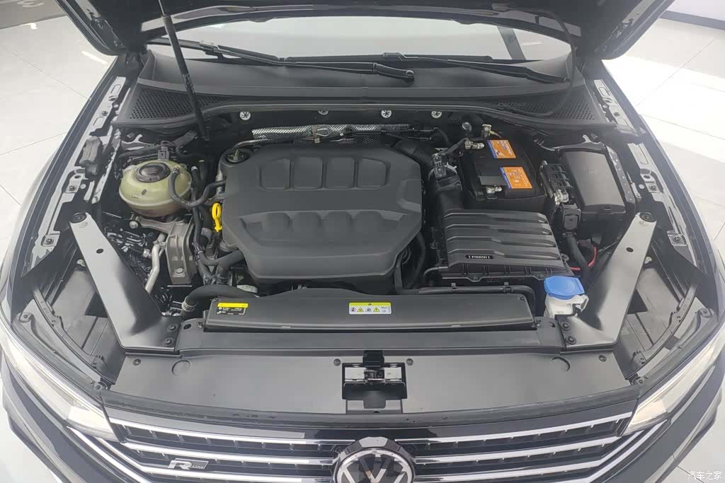 Volkswagen Magotan, 2024 10