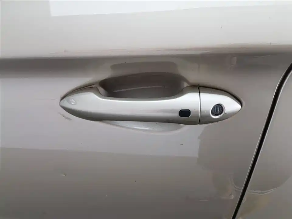 Leopaard Cheetah CS10