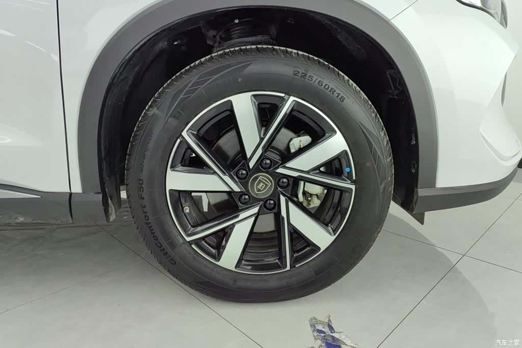 BYD Song, 2024 6
