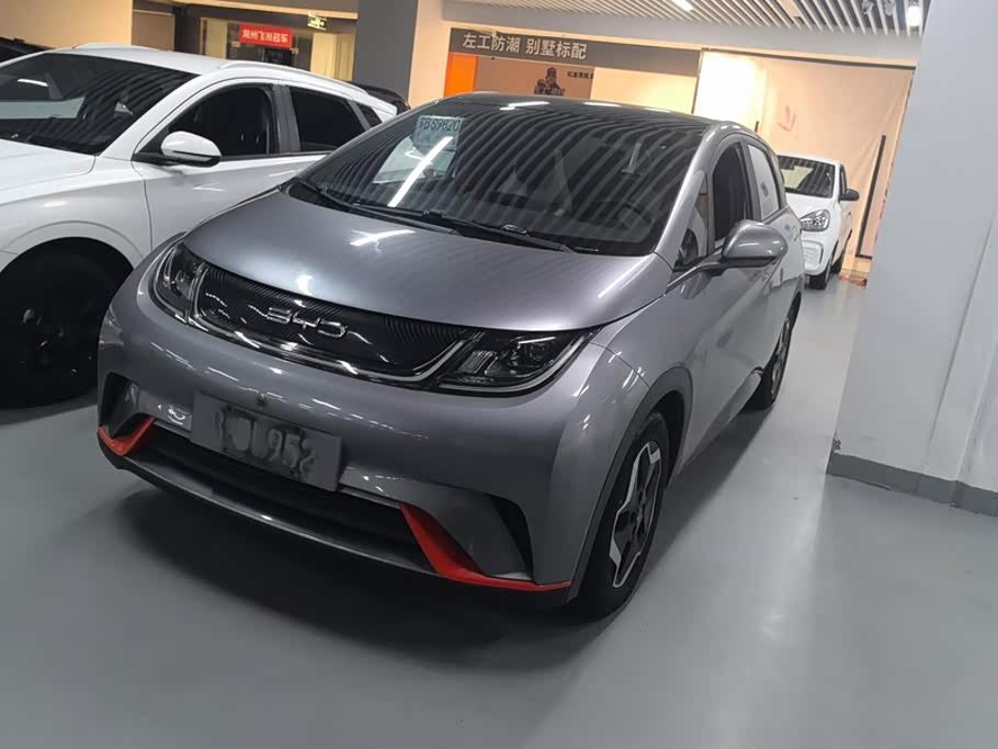 BYD Dolphin