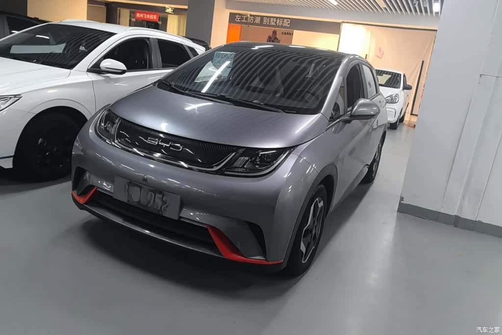 BYD Dolphin, 2022 1