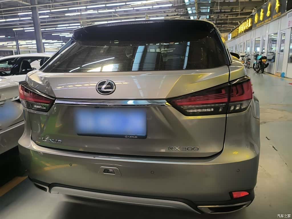 Lexus RX, 2020 6