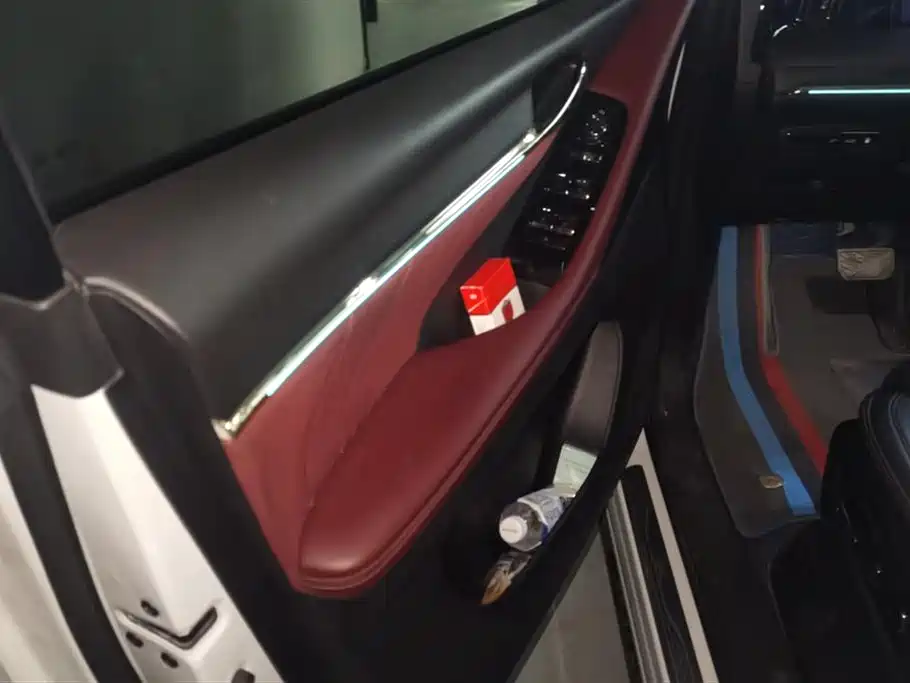 Trumpchi Trumpchi E9