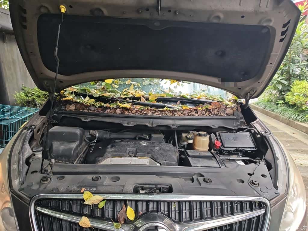 Buick GL8, 2018 11