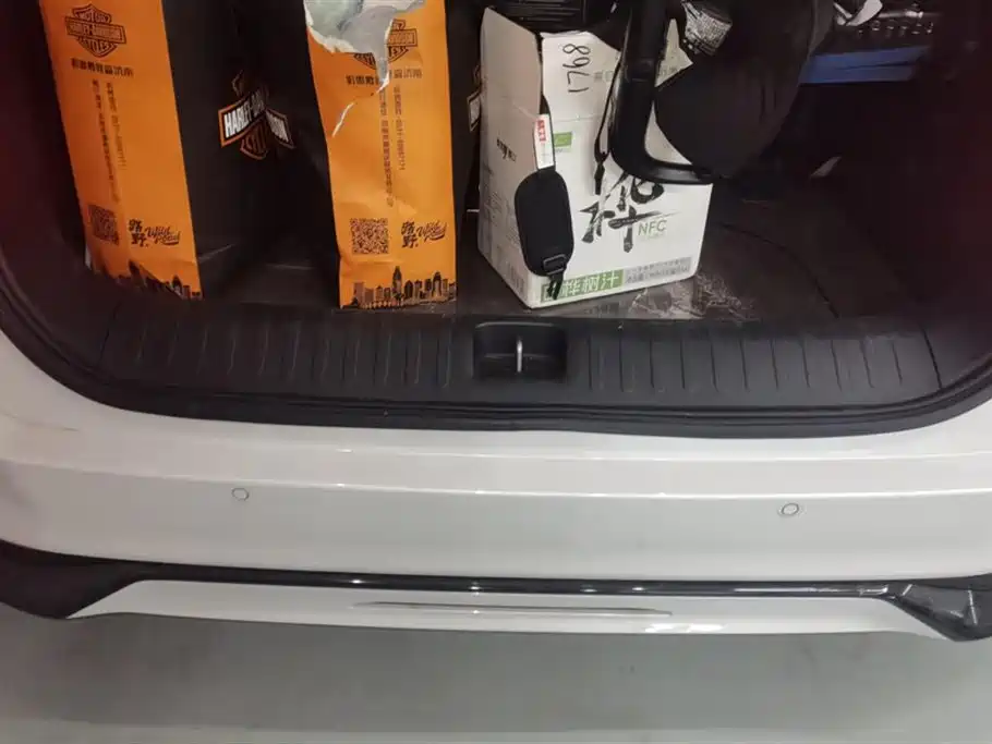 Trumpchi Trumpchi E9